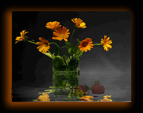 Animated flowers Pictures, Images and Photos