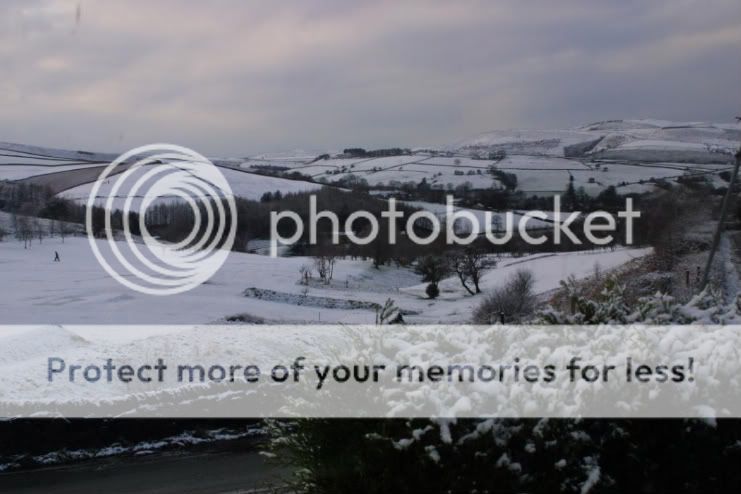 [Linked Image from i343.photobucket.com]