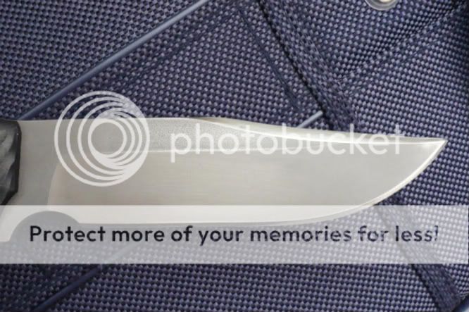 [Linked Image from i343.photobucket.com]