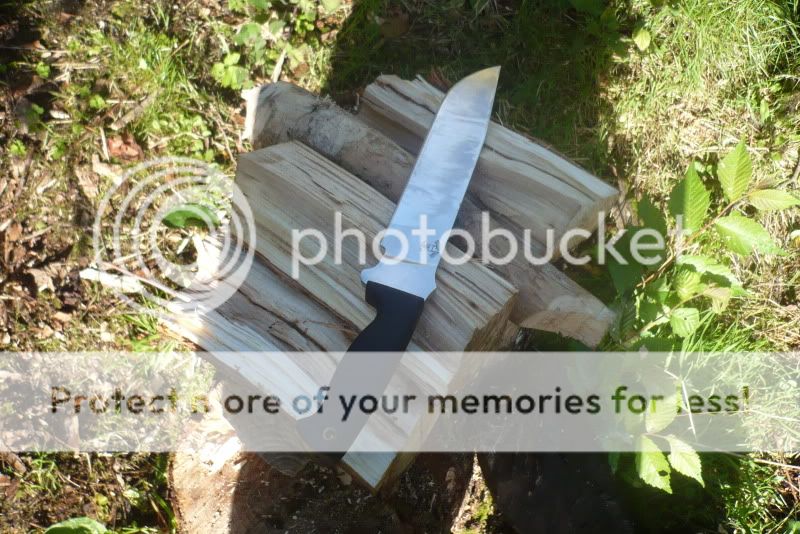 [Linked Image from i343.photobucket.com]
