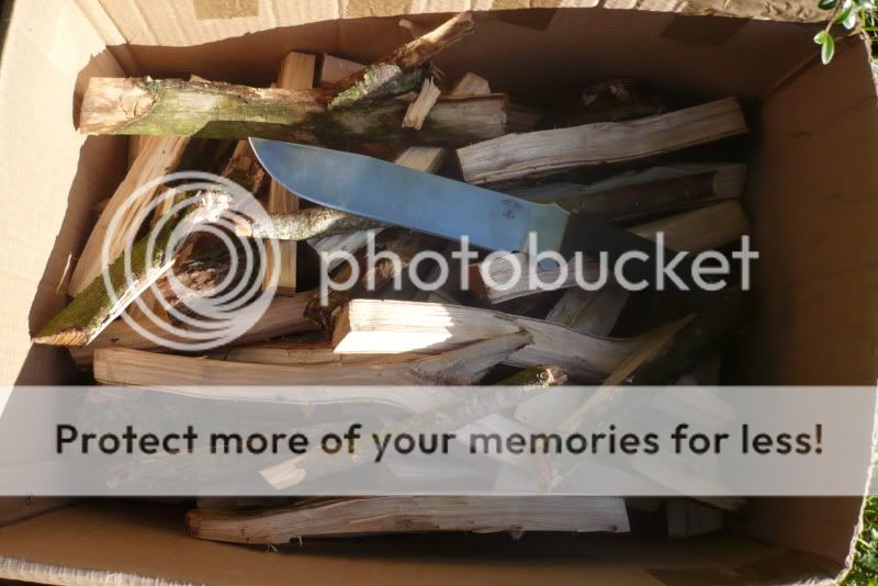 [Linked Image from i343.photobucket.com]