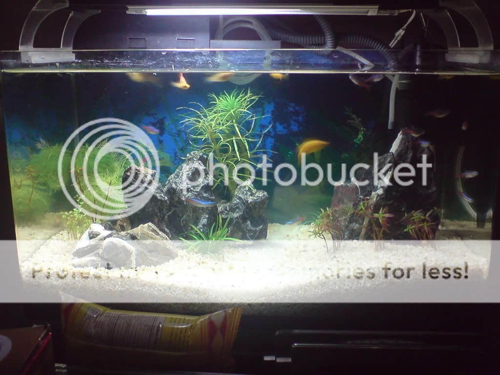 topic về những hình ảnh chụp bằng điện thoại di động - 4