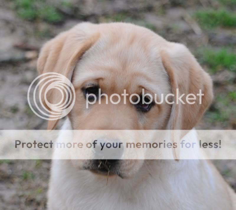 DSC_0702.jpg Gotta love my eyeliner! image by DebbieS_03