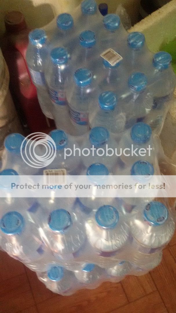 photo 2558 13_zpscaelgqqi.jpg