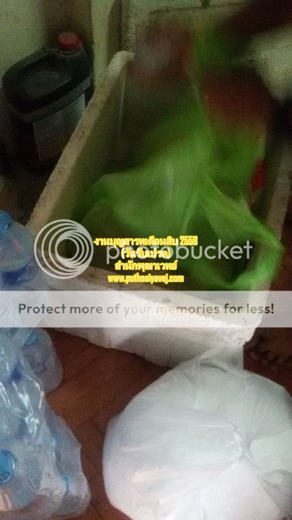 photo 2558 15_zps16dnjvih.jpg