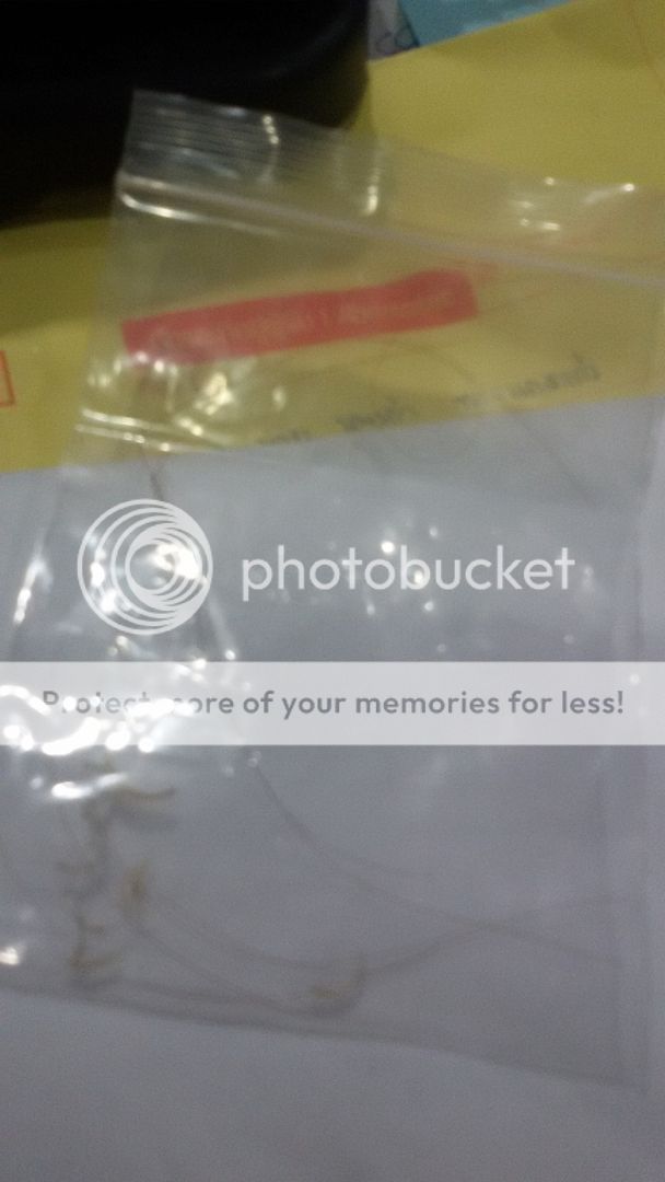 photo 1_zps6bjueip2.jpg