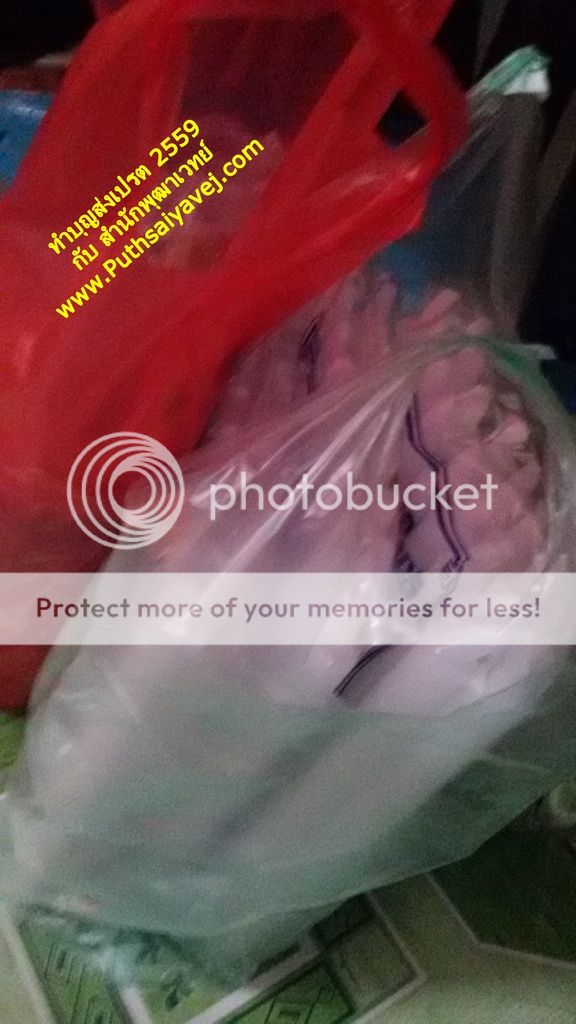 photo 20161003_121401_zps3ijabpeo.jpg